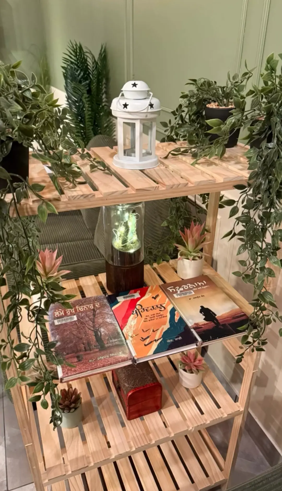Shelf of Punjabi books and plants in the reading nook at Chai on 34, Edmonton